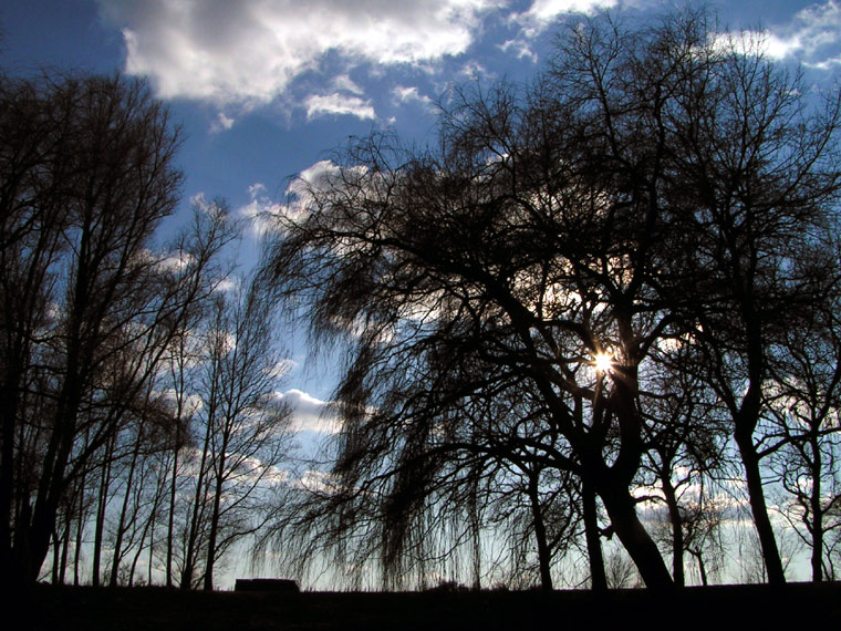 Silhouettes