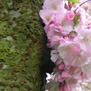 20090404