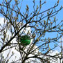 20090408