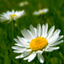 20090413