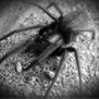 20090416