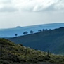 20090418