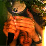 20090424