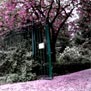 20090426
