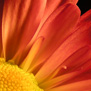 20090701