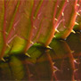 20090819