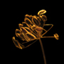 20090913