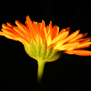 20090917