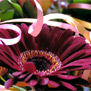 20090926