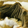 20091110