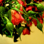 20100123
