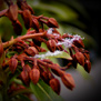 20100124
