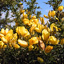 20100126