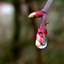 20100321