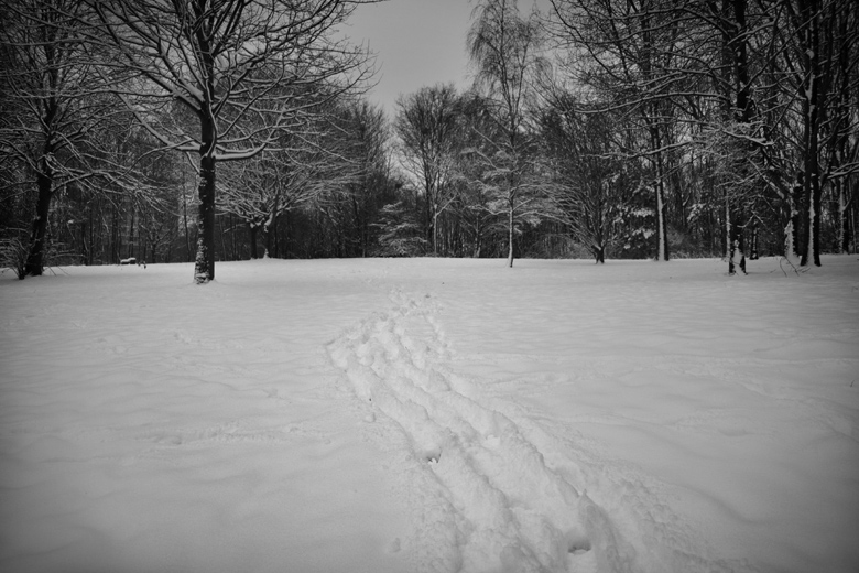 Tracks